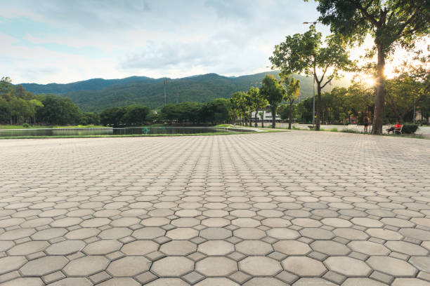 Best Driveway Pavers for Homes  in Hart, TX